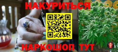ECSTASY Новозыбков